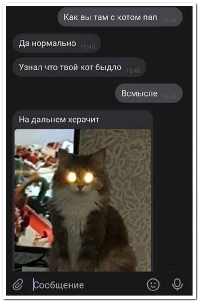 Поднимающий настроение пост со смешными комментариями и СМС-диалогами! Поднимающий настроение пост со смешными комментариями и СМС-диалогами!