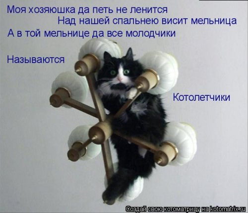 Котоматрица для всех позитив