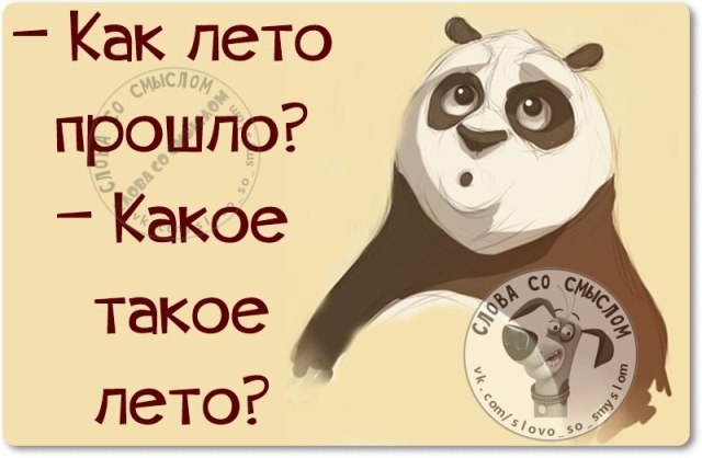 Как прошел мой год ну. Цитаты про август смешные. Август юмор картинки. Вот и лето прошло юмор. Лето прошло прикол.