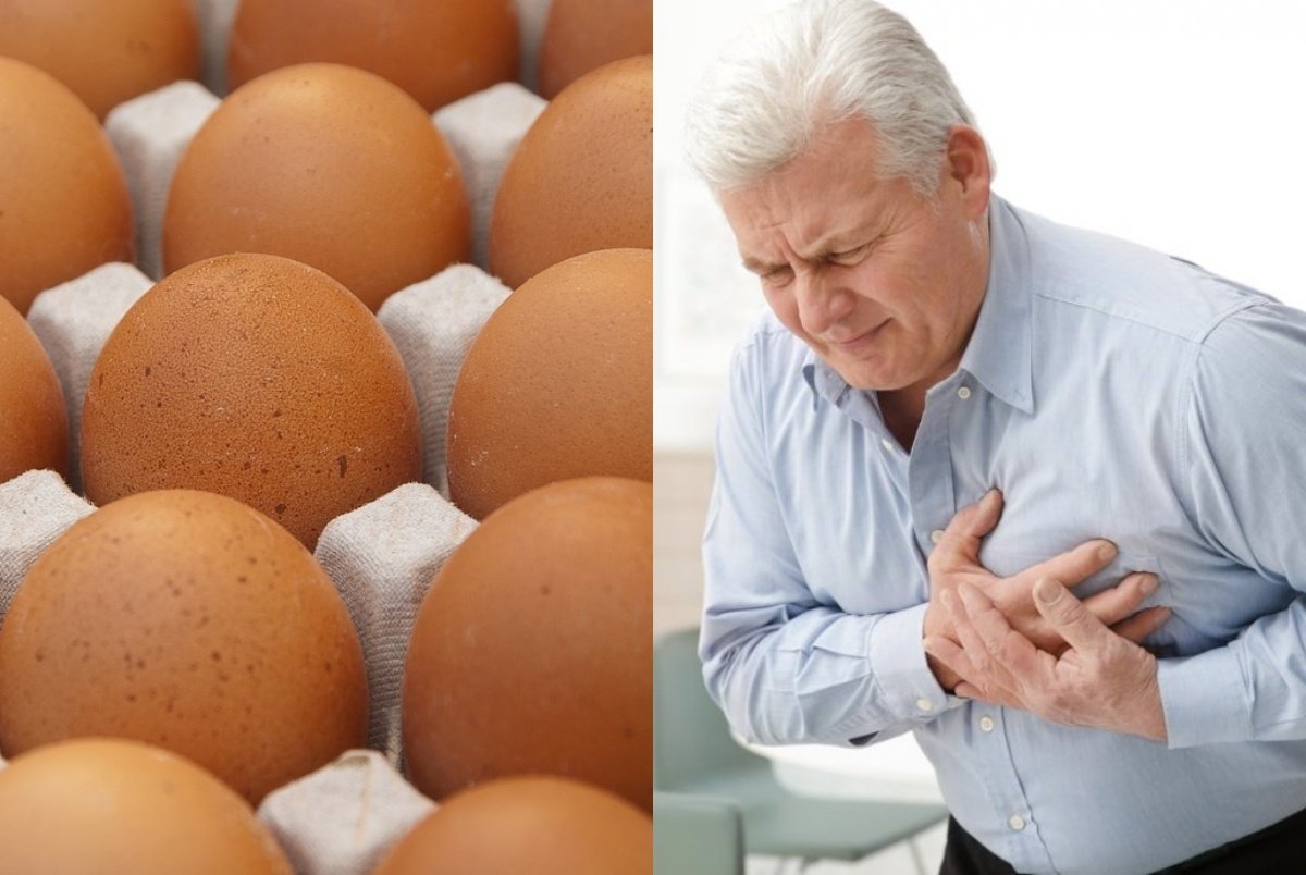 Яйца кур. Микробиология яйца и яичные продукты. Яйцо куриное заболевания. Сколько можно покрасить яйца на пасху. Yumurtga.