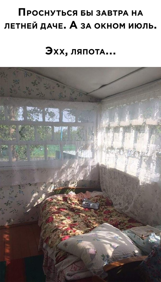 Подборка смешных картинок. Вечерний выпуск Подборка смешных картинок. Вечерний выпуск