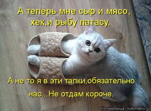 Котоматрица для всех позитив