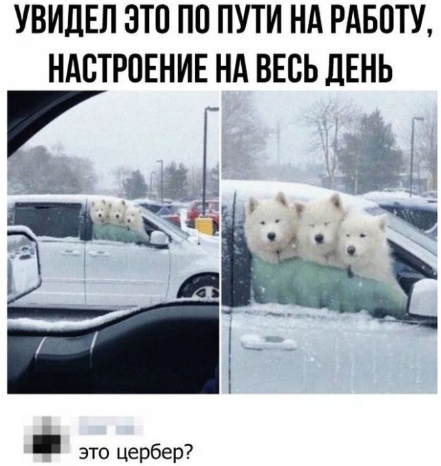 Смешные комментарии 