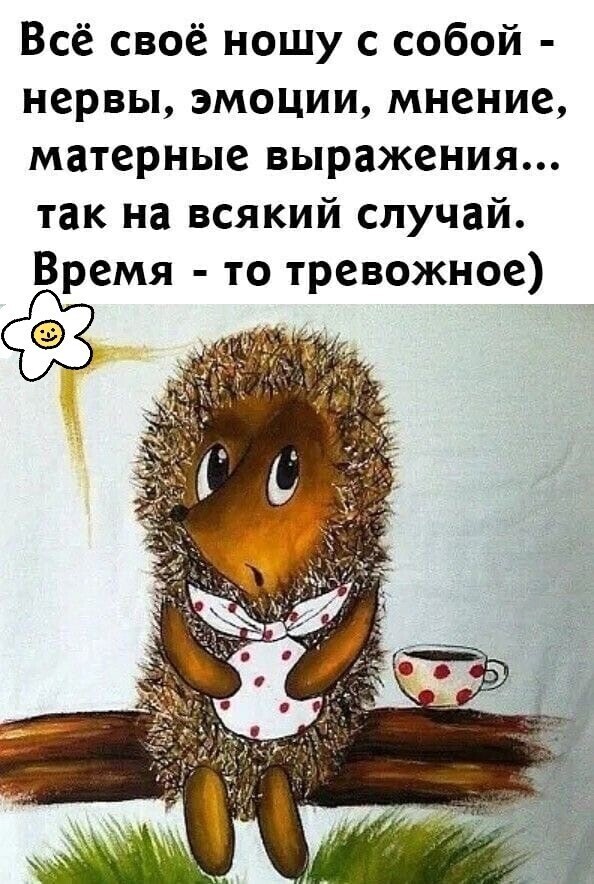 Шутки, анекдоты и забавности, способные поднять настроение 