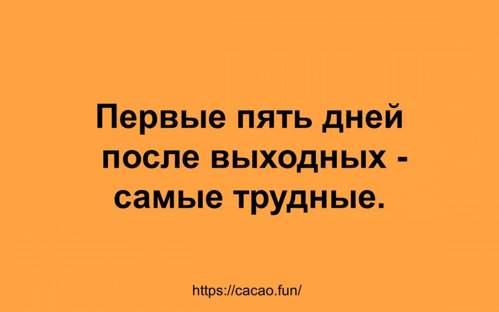 Смешные и интересные шутки, анекдоты, цитаты и фразы 