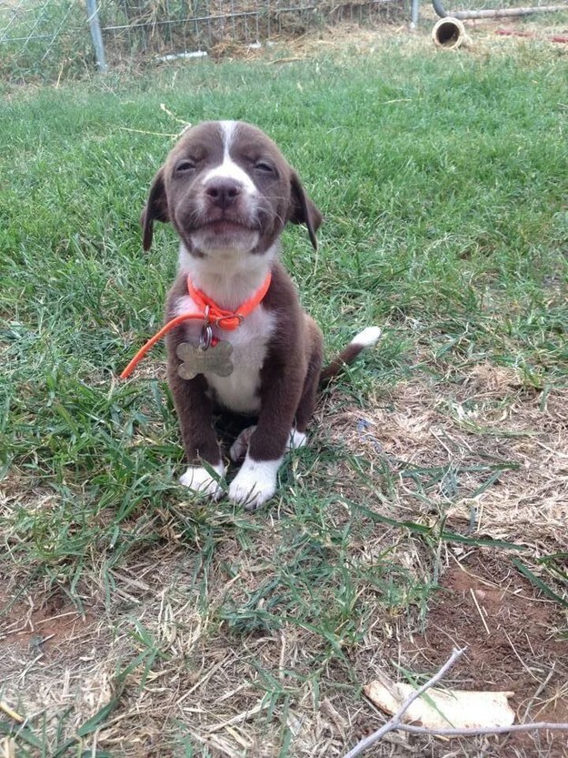 This proud little smiler.