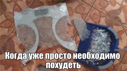 Прикольные картинки для всех (50 шт)