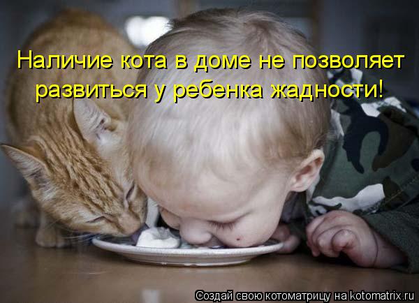 Котоматрица: Наличие кота в доме не позволяет развиться у ребенка жадности!