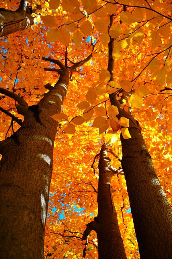 Отказывать учит наглость берущего Истории из жизни,отношения