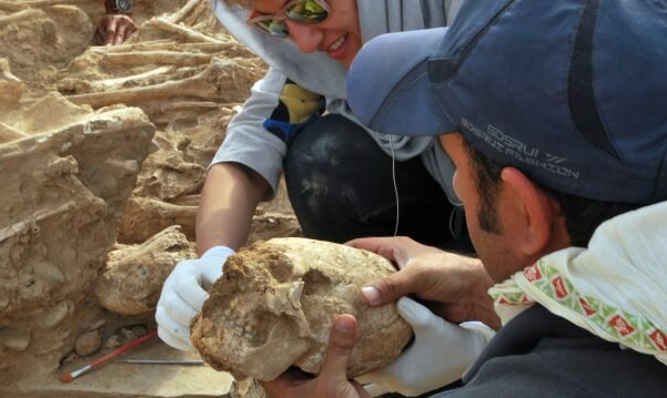 Изображение взято с сайта: https://www.tehrantimes.com/print/476321/Tol-e-Chega-Sofla-where-bizarre-modified-skulls-unearthed