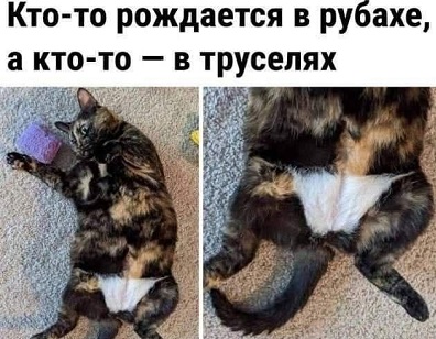 Агронома Любу уволили с работы. Так сказать, ушла Любовь - завяли помидоры... Агронома Любу уволили с работы. Так сказать, ушла Любовь - завяли помидоры... когда, будет, мужики, чтобы, фамилия, Рядовой, убить, раненого, командира, говорит, генерал, сейчас, Когда, дальше, потом, кукурузному, Питер, неправильно, подходит, большим