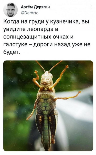 Животный юмор в картинках Животный юмор в картинках