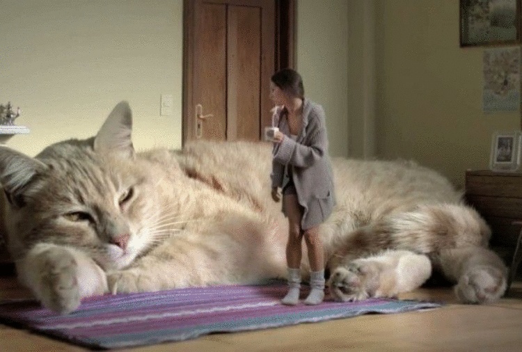 Пять стран без центрального отопления