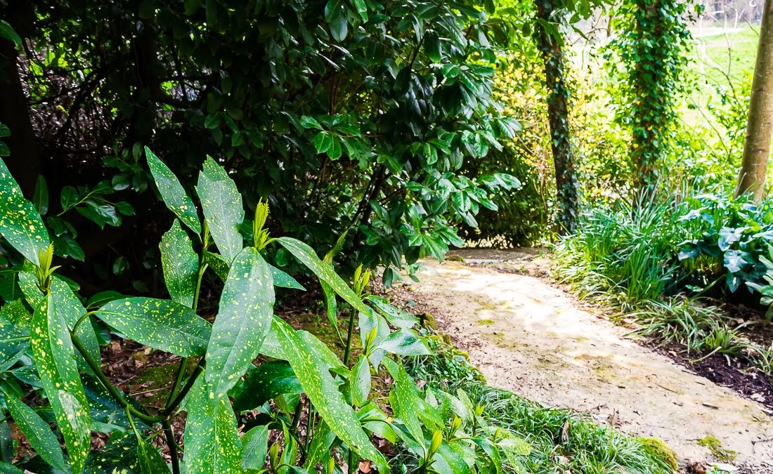 Очередные 10 000 шагов к здоровью Очередные 10 000 шагов к здоровью коронавирус,медицина,общество,яостаюсьдома