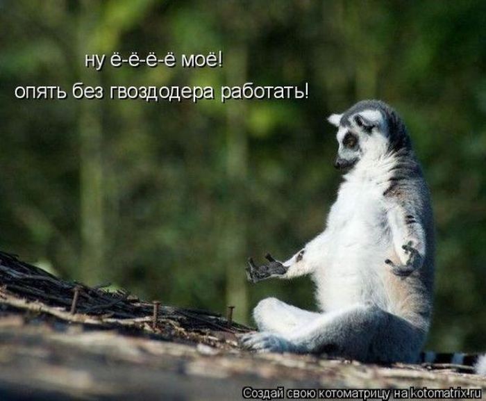 Мысли вслух :)