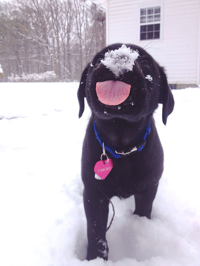 First Snow For This Sweet Little Girl