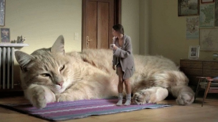 Пять стран без центрального отопления Пять стран без центрального отопления