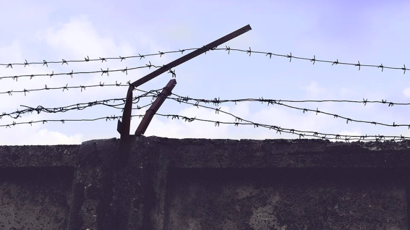 Литовский политик призвал извиниться перед Лукашенко для решения кризиса мигрантов Политика