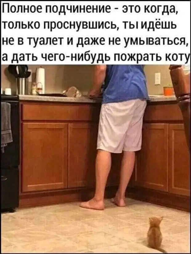 Если мужик второй раз подряд приехал на чай, значит и в первый раз он приезжал не за чаем... Если мужик второй раз подряд приехал на чай, значит и в первый раз он приезжал не за чаем... женщин, время, наперсток, смотреть, потом, иметь, детективы, пересматривать, перечитывать, теперь, никудышной, таком, стала, память, старости, телевизорК, стало, нужен, интересно, случае