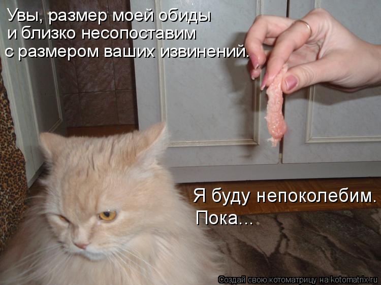 Муркотушки! Муркотушки, Источник