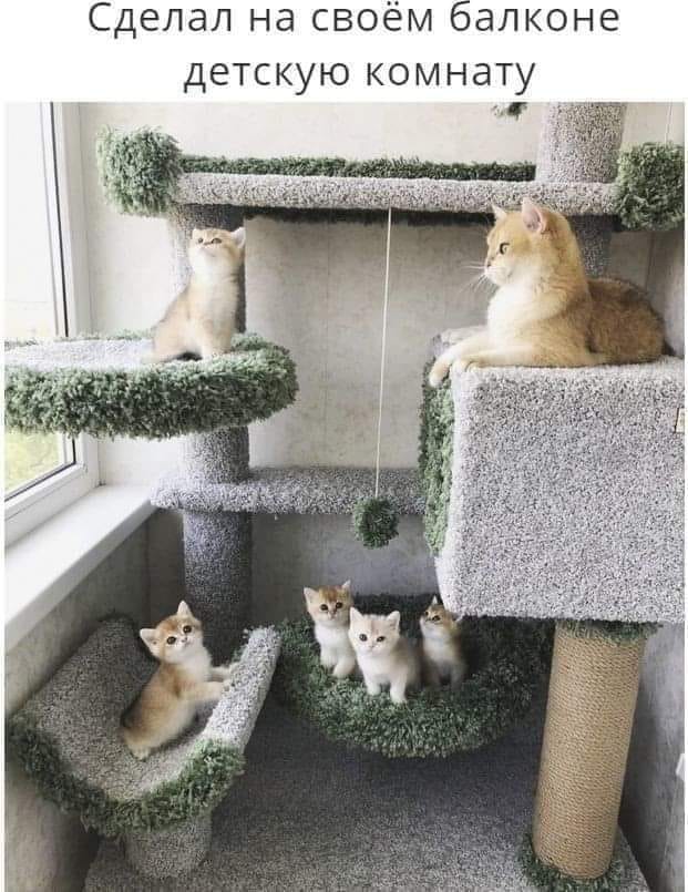 Фото-приколы поржать 