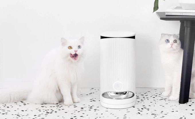 Xiaomi накормит домашних питомцев пока хозяева в отъезде Xiaomi накормит домашних питомцев пока хозяева в отъезде гаджеты,животные,коты,мир,питомцы,технологии