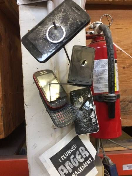 Подборка картинок. Дневной выпуск (50 фото)