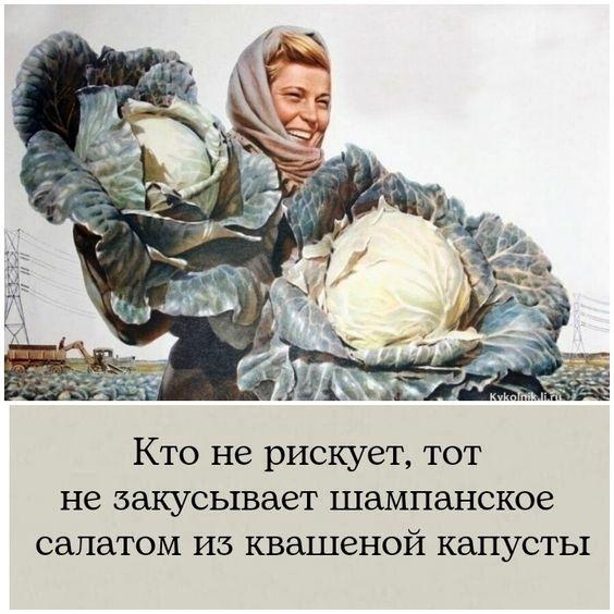 Угарные картинки с надписями 