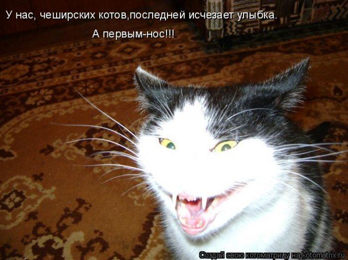 Мысли вслух :)