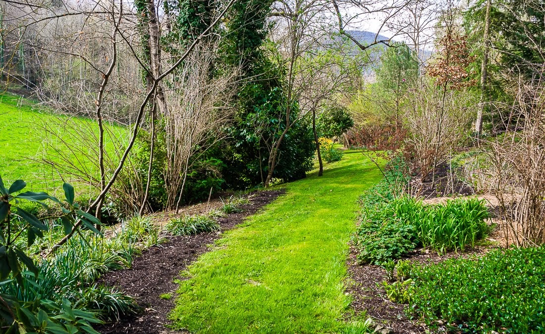 Очередные 10 000 шагов к здоровью Очередные 10 000 шагов к здоровью коронавирус,медицина,общество,яостаюсьдома