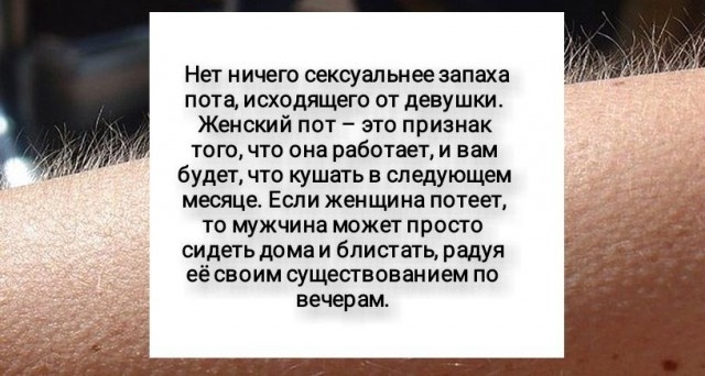 Глупости и различные высказывания из социальных сетей Глупости и различные высказывания из социальных сетей