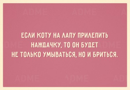 Прикольные картинки с фразками 