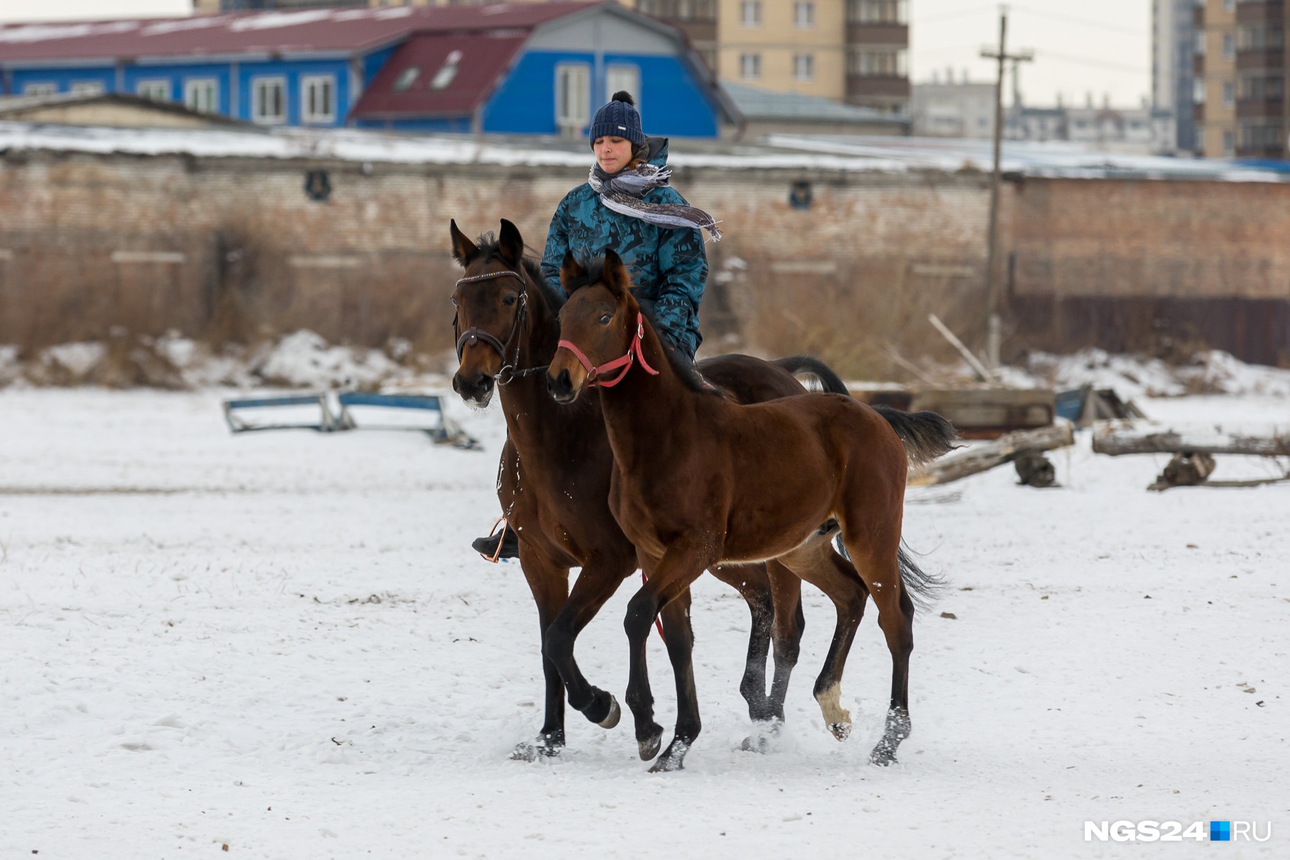 Дзержинского 20 красноярск