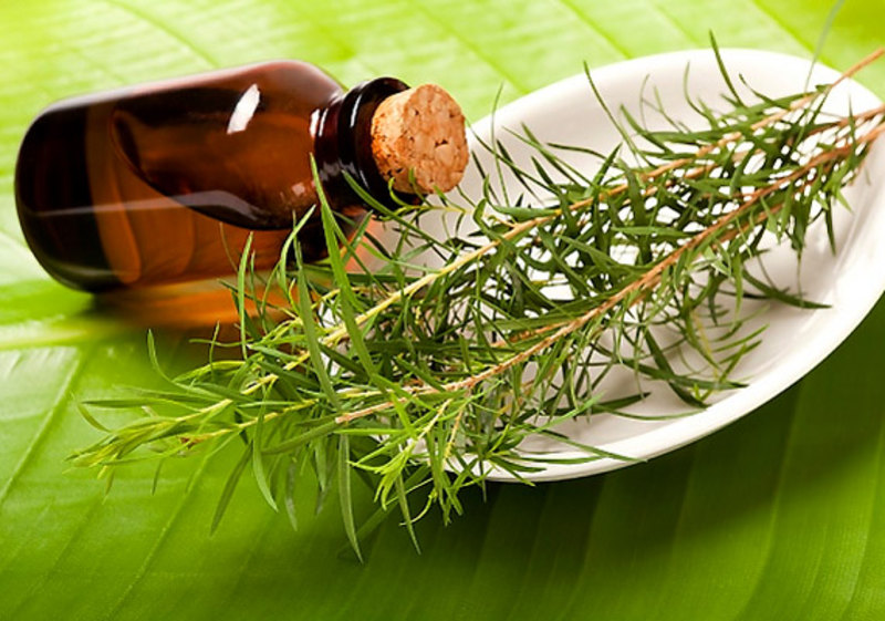 3. Без подписи