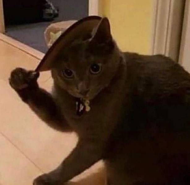 Подборка прикольных картинок  смешные картинки,юмор