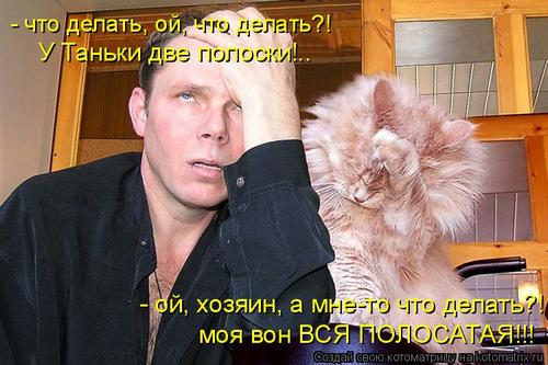 4743317_338595 (500x333, 37Kb)