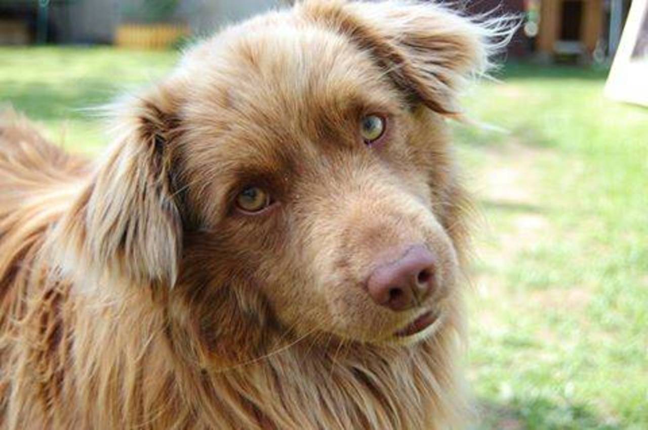 В двух шагах от рая