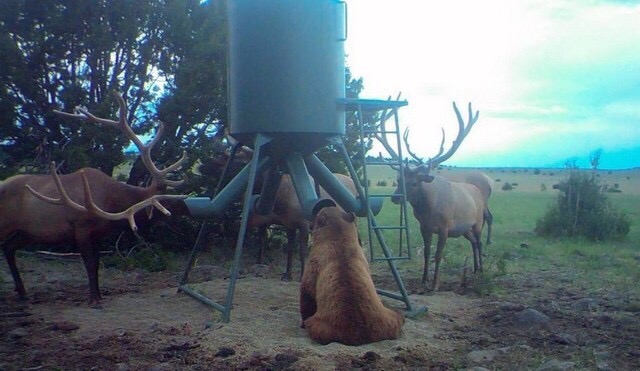 Забавные и прикольные фотографии из нашей жизни Забавные и прикольные фотографии из нашей жизни приколы,смешные картинки,угарные фотки,фото приколы