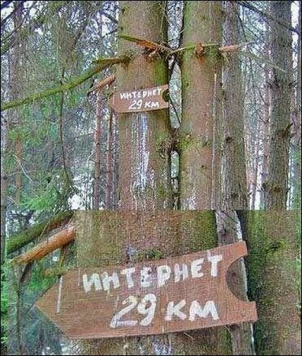 Прикольные вывески и объявления из реальной жизни фото, днем