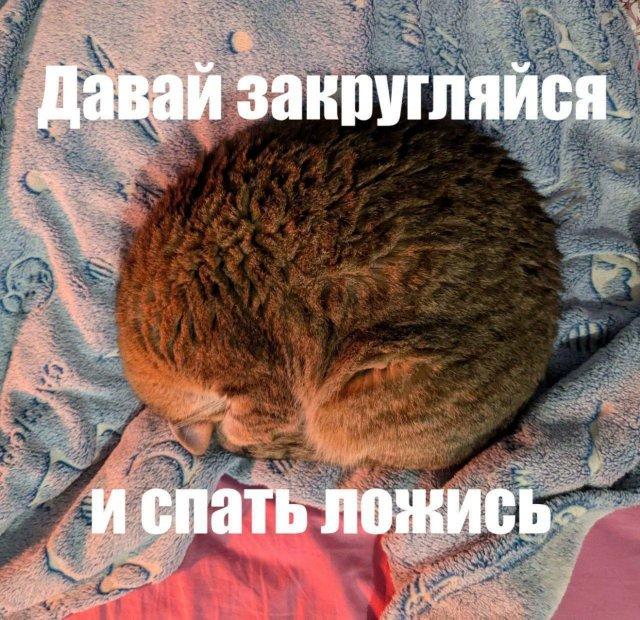 Юморные картинки на ночь глядя 