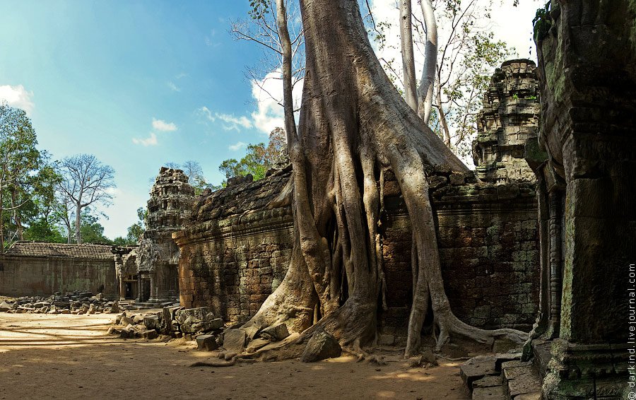 Камбоджийский храм Та Пром (Ta Prohm) и гигантские деревья