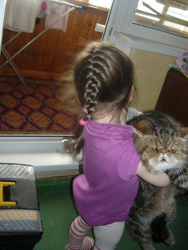 Подборка прикольных картинок Подборка прикольных картинок приколы,смешные картинки,юмор