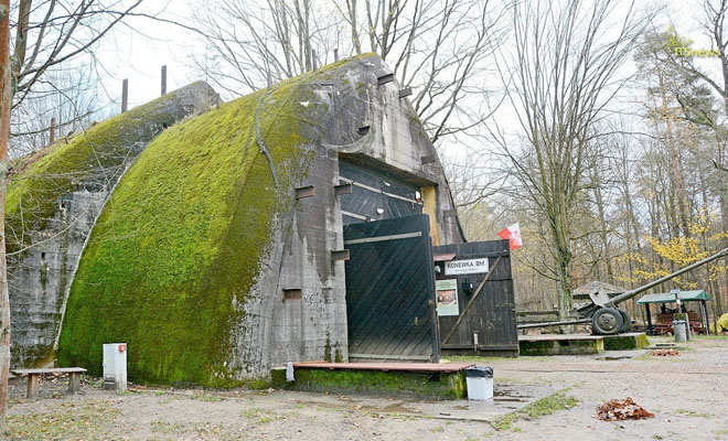 Бункер для личного поезда Гитлера: поисковики с камерой зашли внутрь старого укрепления Рейха в чаще леса Культура