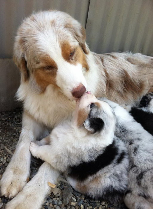 Мамочка, ну давай поцелуемся.