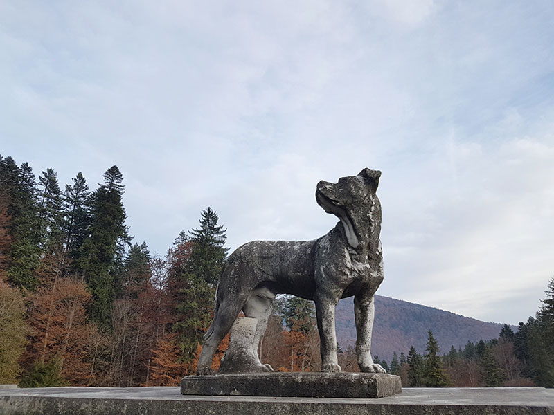 Синая. О Великолепных Замках, Которые Отнял Чаушеску И Монастыре, Построенном Спасенным Князем… автотуризм