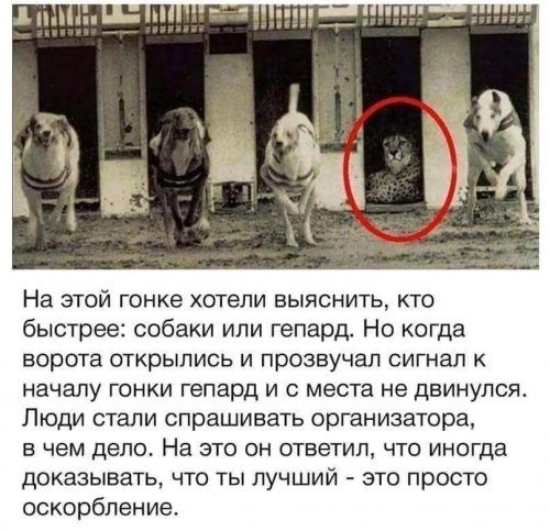 Бодрящие картинки и фото 