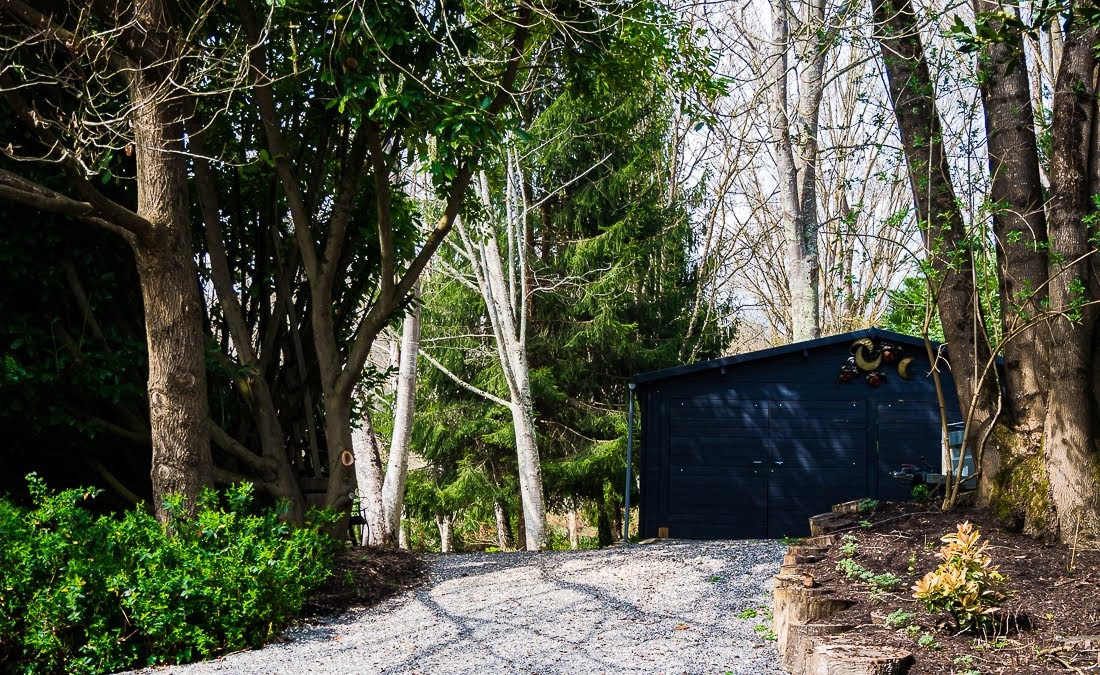 Очередные 10 000 шагов к здоровью Очередные 10 000 шагов к здоровью коронавирус,медицина,общество,яостаюсьдома