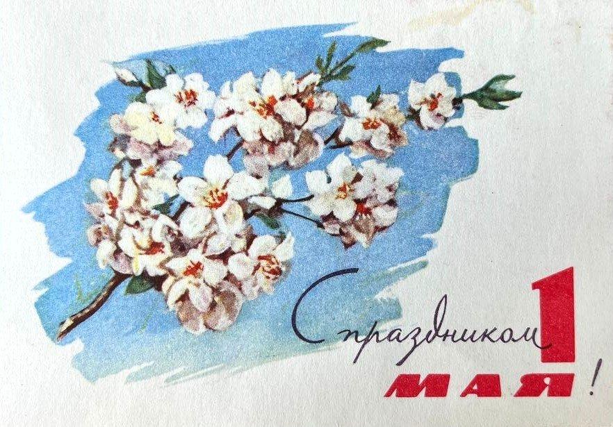 Советские открытки «С 1 мая» для бабушек, дедушек, мам и пап — в общем, для всех открытки, России, советские, выходной, Советском, праздник, застал, поколение, природеПри, ретрооткрытокЕжегодно, провести, союзе, близкими, семьей, собраться, чтобы, просто, вспоминают, теплотой, шествия