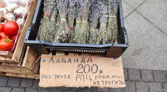 Коронавирус. Все приколы дня позитив,смешные картинки,юмор