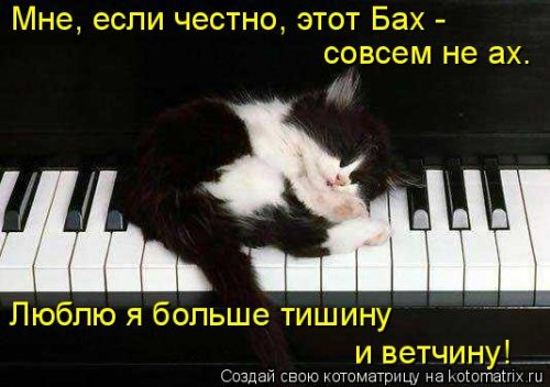 Котоматрица для всех позитив